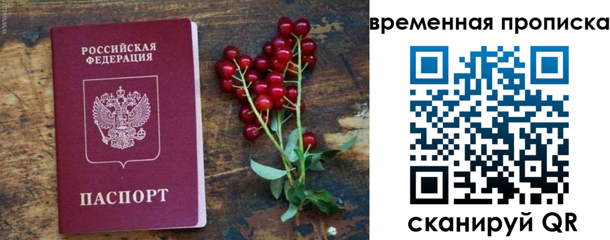 временная регистрация гарантия в Вытегре